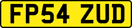 FP54ZUD