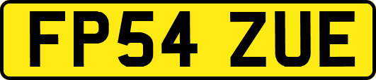 FP54ZUE