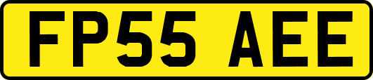 FP55AEE