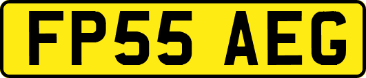 FP55AEG