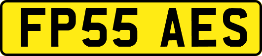 FP55AES