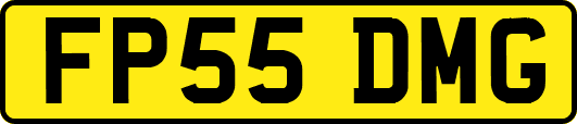 FP55DMG