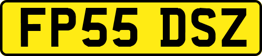 FP55DSZ