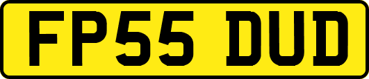 FP55DUD