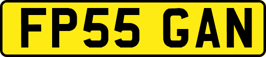 FP55GAN