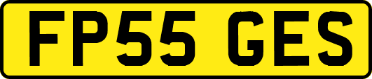 FP55GES
