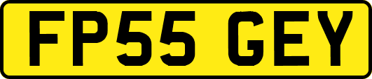 FP55GEY