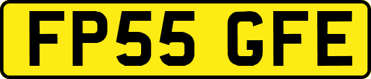 FP55GFE
