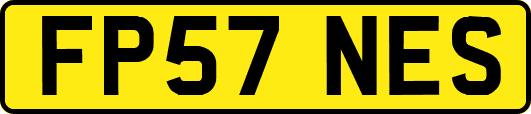 FP57NES