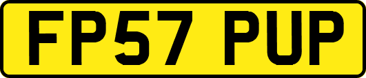FP57PUP