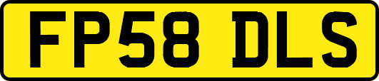 FP58DLS