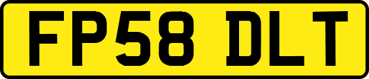 FP58DLT