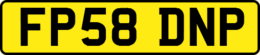 FP58DNP