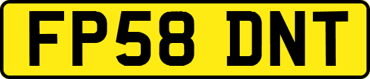 FP58DNT
