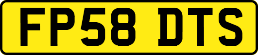 FP58DTS
