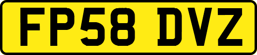 FP58DVZ