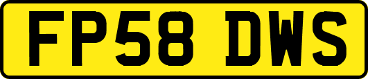 FP58DWS