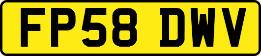 FP58DWV