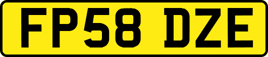 FP58DZE