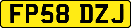 FP58DZJ