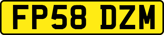 FP58DZM
