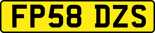 FP58DZS
