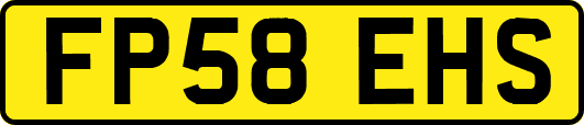 FP58EHS