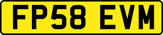 FP58EVM