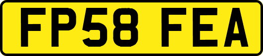 FP58FEA