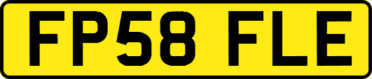 FP58FLE