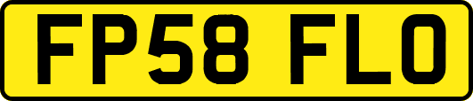 FP58FLO