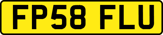 FP58FLU