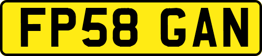 FP58GAN