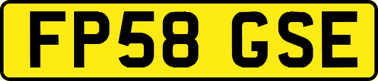 FP58GSE