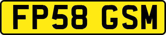 FP58GSM