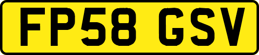 FP58GSV