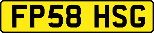 FP58HSG