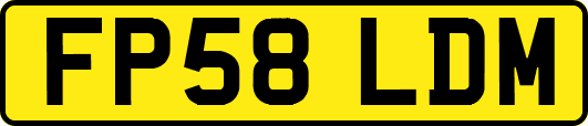 FP58LDM