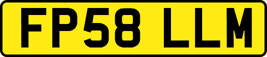 FP58LLM