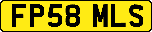 FP58MLS