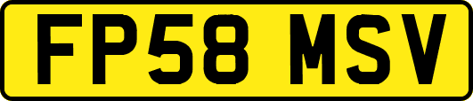 FP58MSV
