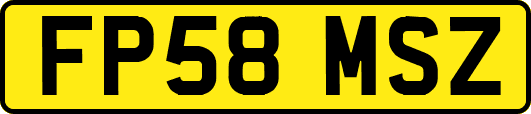 FP58MSZ