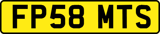 FP58MTS