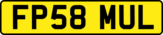 FP58MUL