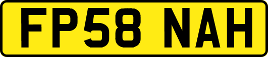 FP58NAH