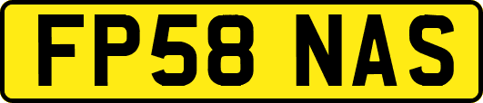 FP58NAS