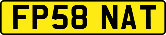 FP58NAT