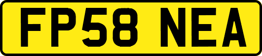 FP58NEA