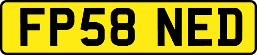 FP58NED