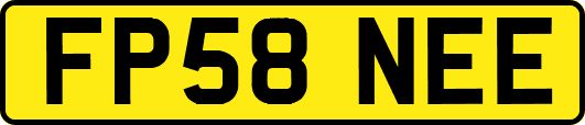 FP58NEE